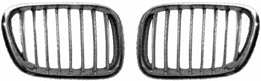 GRIGLIA SN BMW X5 99->06 cromata