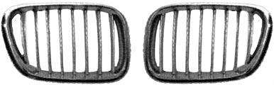GRIGLIA SN BMW X5 99->06 cromata