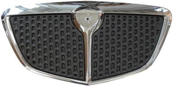 GRIGLIA RADIATORE YPSILON 06->ORO