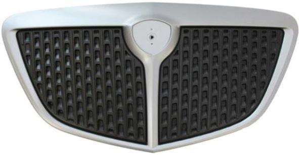 GRIGLIA RADIATORE Y 06->ARG satinata