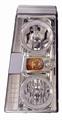 FARO DX RENAULT MAGNUM 01->