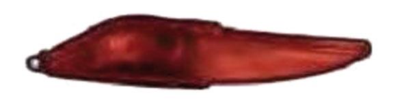 FANALE RETRONEBBIA DELTA 07->