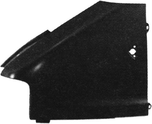 PARAF.ANT.SX DUCATO 02>