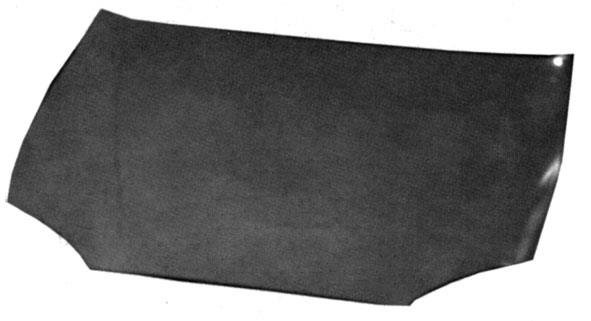 COFANO ELANTRA 99