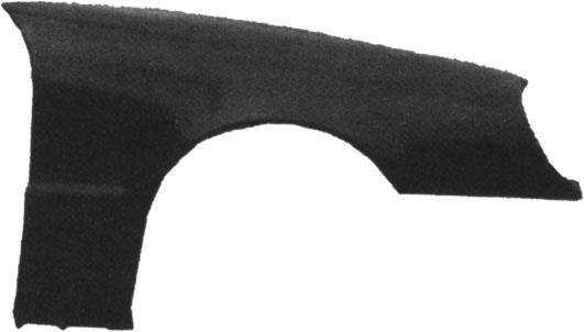 PARAF.ANT.DS W210 99