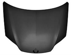 COFANO ANT LAGUNA 07->