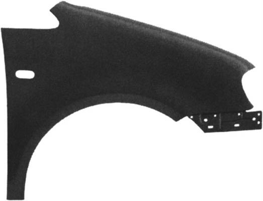 PARAF.ANT.DS.CADDY 04>