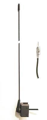 ANTENNA GRONDAIA UNIV.