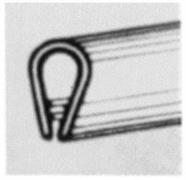 SALVAPORTA AD INCASTRO