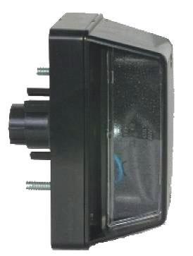 FANALE TARGA IVECO DX/SX