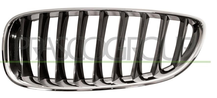 GRIGLIA SX BMW Z4 E89 09->13