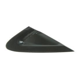 MOSTRINA DX GRANDE PUNTO SU PARAFANGO